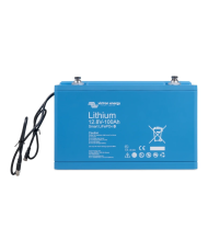 Batteria al litio LiFePO4 12,8 V 100 Ah - Smart