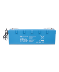 Batteria al litio LiFePO4 25,6 V 100 Ah - Smart