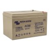 Batería AGM Deep Cycle 12V/14Ah Victron Energy