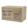 Batteria AGM Deep Cycle 12V/14Ah Victron Energy