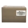 Batterie AGM Deep Cycle 12V/14Ah Victron Energy