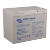 Batería AGM Deep Cycle 12V/22Ah Victron Energy