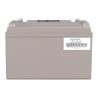 Batteria AGM Deep Cycle 12V/110Ah (M8) Victron Energy