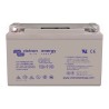 Batería Gel Deep Cycle 12V/110Ah Victron Energy