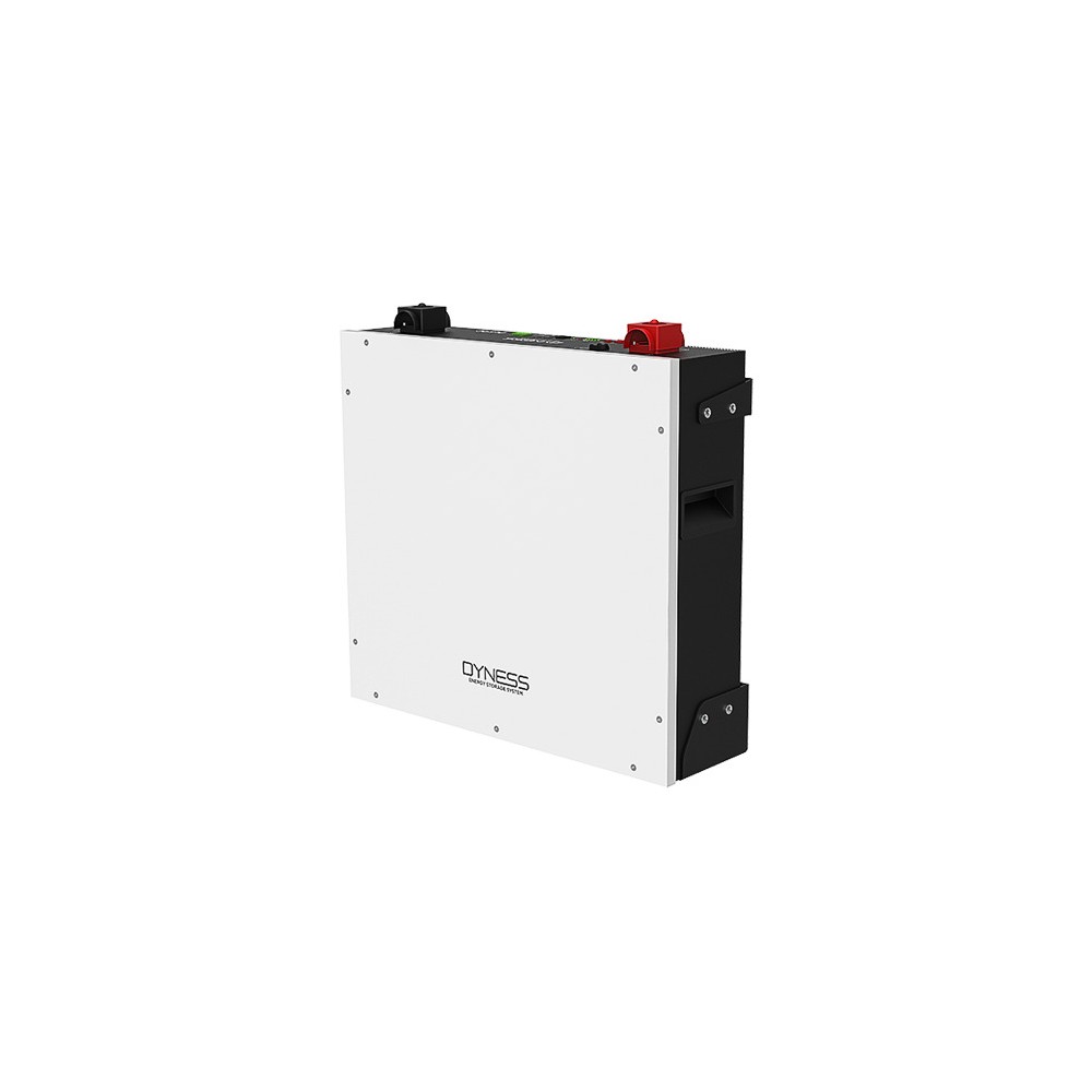Batteriespeicher Dyness 5,12 kWh, 51,2 V LiFePO4, DL5.0C